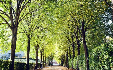 img-27