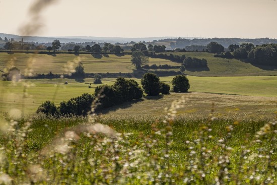 header_banner_image_mobile