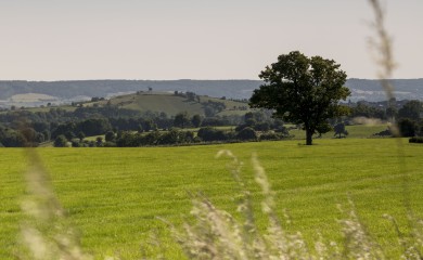 img-26